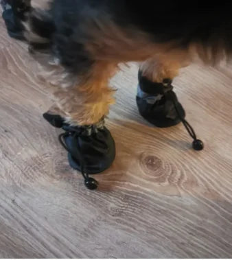 Waterproof Dog Shoes